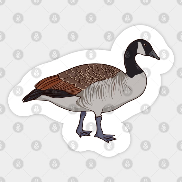 Drawing of a Canada Goose Sticker by Modern Medieval Design